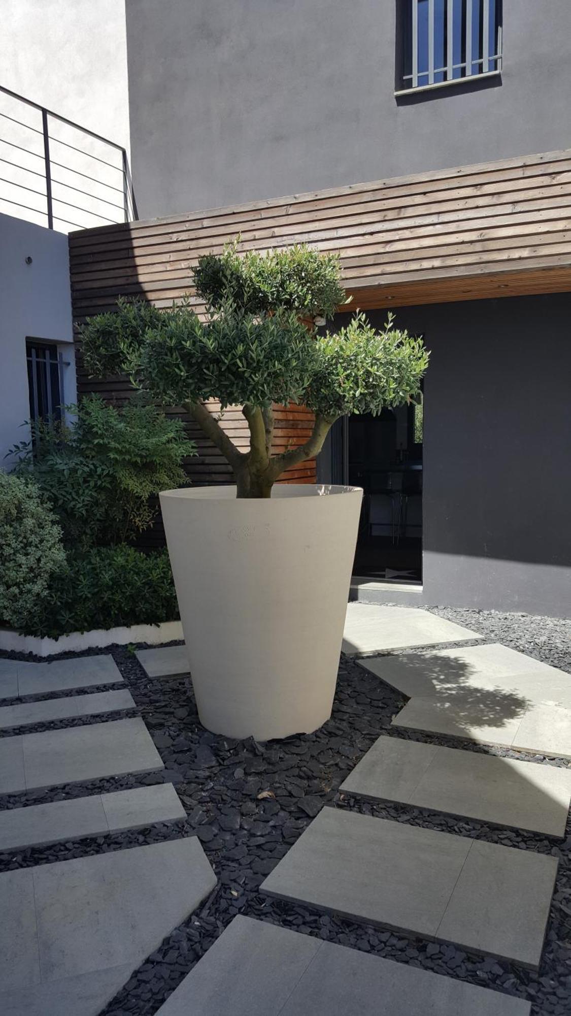 Villa Montpellier Exterior foto